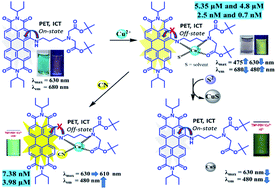 Graphical abstract: A perylene diimide-based near-IR ratiometric sensor for detection of Cu2+ ions: ensemble for discrimination of CN− and S2− ions