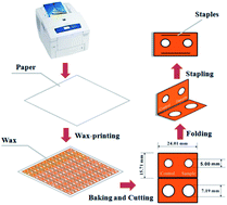 Graphical abstract: A novel microfluidic paper-based analytical device based on chemiluminescence for the determination of β-agonists in swine hair