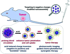 Graphical abstract: Positively charged helical chain-modified stimuli-responsive nanoassembly capable of targeted drug delivery and photoacoustic imaging-guided chemo-photothermal synergistic therapy