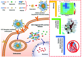 Graphical abstract: Targeted co-delivery of the aldose reductase inhibitor epalrestat and chemotherapeutic doxorubicin via a redox-sensitive prodrug approach promotes synergistic tumor suppression