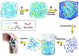 Graphical abstract: Shear-thinning hyaluronan-based fluid hydrogels to modulate viscoelastic properties of osteoarthritis synovial fluids