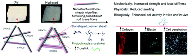 Graphical abstract: Coaxial PCL/PEG-thiol–ene microfiber with tunable physico-chemical properties for regenerative scaffolds