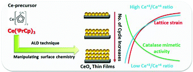 Graphical abstract: Antioxidant properties of ALD grown nanoceria films with tunable valency