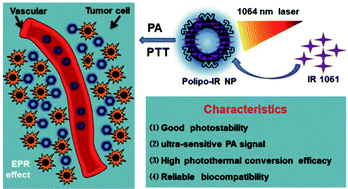 Graphical abstract: Novel small molecular dye-loaded lipid nanoparticles with efficient near-infrared-II absorption for photoacoustic imaging and photothermal therapy of hepatocellular carcinoma