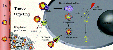 Graphical abstract: Lipoprotein-inspired penetrating nanoparticles for deep tumor-targeted shuttling of indocyanine green and enhanced photo-theranostics