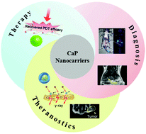 Graphical abstract: Calcium phosphate nanocarriers for drug delivery to tumors: imaging, therapy and theranostics