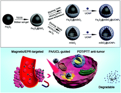 Graphical abstract: Degradable magnetic-response photoacoustic/up-conversion luminescence imaging-guided photodynamic/photothermal antitumor therapy