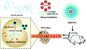 Graphical abstract: Cysteine-based redox-responsive nanoparticles for small-molecule agent delivery