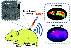 Graphical abstract: Tuning the NIR photoabsorption of CuWO4−x nanodots with oxygen vacancies for CT imaging guided photothermal therapy of tumors