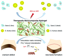 Graphical abstract: Engineering natural matrices with black phosphorus nanosheets to generate multi-functional therapeutic nanocomposite hydrogels