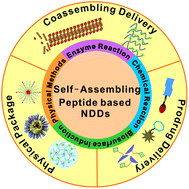 Graphical abstract: Self-assembling peptide-based nanodrug delivery systems