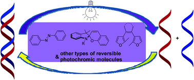 Graphical abstract: Photoregulation between small DNAs and reversible photochromic molecules