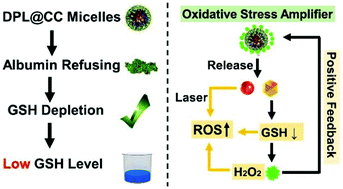 Graphical abstract: H2O2-activated oxidative stress amplifier capable of GSH scavenging for enhancing tumor photodynamic therapy