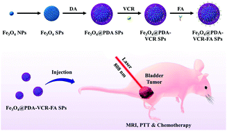 Graphical abstract: Targeted multifunctional nanomaterials with MRI, chemotherapy and photothermal therapy for the diagnosis and treatment of bladder cancer