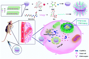 Graphical abstract: Doxorubicin intercalated copper diethyldithiocarbamate functionalized layered double hydroxide hybrid nanoparticles for targeted therapy of hepatocellular carcinoma