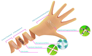 Graphical abstract: Recent innovations in artificial skin