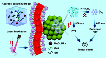 Graphical abstract: Responsive agarose hydrogel incorporated with natural humic acid and MnO2 nanoparticles for effective relief of tumor hypoxia and enhanced photo-induced tumor therapy