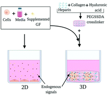 Graphical abstract: Heparin-based hydrogel scaffolding alters the transcriptomic profile and increases the chemoresistance of MDA-MB-231 triple-negative breast cancer cells