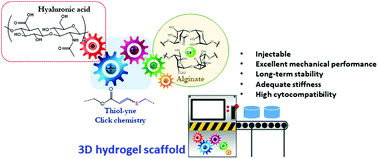 Graphical abstract: Robust alginate/hyaluronic acid thiol–yne click-hydrogel scaffolds with superior mechanical performance and stability for load-bearing soft tissue engineering