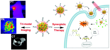 Graphical abstract: A uPAR targeted nanoplatform with an NIR laser-responsive drug release property for tri-modal imaging and synergistic photothermal-chemotherapy of triple-negative breast cancer