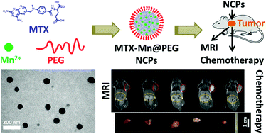 Graphical abstract: Methotrexate–Mn2+ based nanoscale coordination polymers as a theranostic nanoplatform for MRI guided chemotherapy