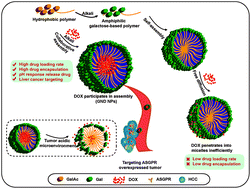 Graphical abstract: Collaborative assembly of doxorubicin and galactosyl diblock glycopolymers for targeted drug delivery of hepatocellular carcinoma