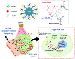 Graphical abstract: NIR-cleavable drug adducts of gold nanostars for overcoming multidrug-resistant tumors