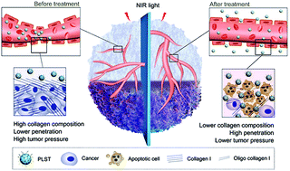 Graphical abstract: Melanin-like nanoparticles loaded with an angiotensin antagonist for an improved photothermal cancer therapy