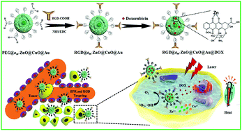 Graphical abstract: Tumor-targeting multi-shelled hollow nanospheres as drug loading platforms for imaging-guided combinational cancer therapy