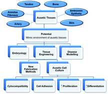 Graphical abstract: The use of auxetic materials in tissue engineering