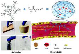 Graphical abstract: Fabrication of strong hydrogen-bonding induced coacervate adhesive hydrogels with antibacterial and hemostatic activities