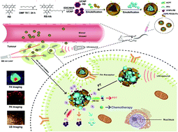Graphical abstract: A nanosystem loaded with perfluorohexane and rose bengal coupled upconversion nanoparticles for multimodal imaging and synergetic chemo-photodynamic therapy of cancer