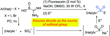 Graphical abstract: Thiourea dioxide as a source of sulfonyl groups: photoredox generation of sulfones and sulfonamides from heteroaryl/aryl halides