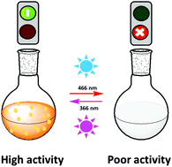 Graphical abstract: Reversible photoresponsive activity of a carbonic anhydrase mimic