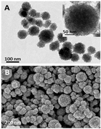 Graphical abstract: Synthesis of photo-excited Chlorin e6 conjugated silica nanoparticles for enhanced anti-bacterial efficiency to overcome methicillin-resistant Staphylococcus aureus