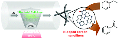 Graphical abstract: N-Doped carbon nanofibers derived from bacterial cellulose as an excellent metal-free catalyst for selective oxidation of arylalkanes