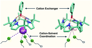 Graphical abstract: Enhancing selectivity of cation exchange with anion receptors