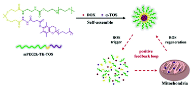 Graphical abstract: An ROS-responsive and self-accelerating drug release nanoplatform for overcoming multidrug resistance