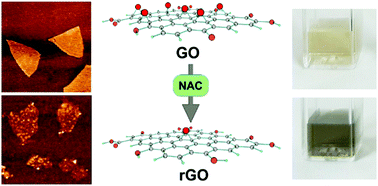 Graphical abstract: Biocompatible N-acetyl cysteine reduces graphene oxide and persists at the surface as a green radical scavenger
