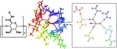 Graphical abstract: Synthesis of per(5-N-carboxamide-5-dehydroxylmethyl)-β-cyclodextrins and their selective recognition ability utilizing multiple hydrogen bonds