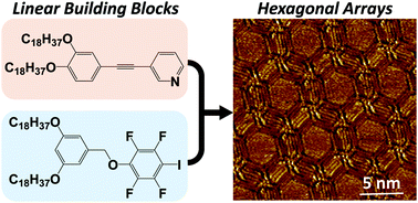 Graphical abstract: Hexagonal array formation by intermolecular halogen bonding using a binary blend of linear building blocks: STM study