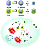 Graphical abstract: A thermoresponsive nanocarrier for mitochondria-targeted drug delivery