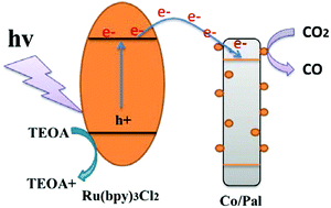 Graphical abstract: A CO2 photoreduction heterogeneous cobalt-based cocatalyst constructed via in situ electrostatic adsorption deposition