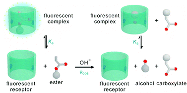 Graphical abstract: Fluorescent monitoring of the reaction kinetics of nonfluorescent molecules enabled by a fluorescent receptor