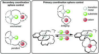 Graphical abstract: Cation-controlled catalysis with crown ether-containing transition metal complexes