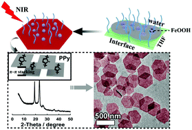 Graphical abstract: Hexagonal polypyrrole nanosheets from interface driven heterogeneous hybridization and self-assembly for photothermal cancer treatment