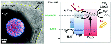 Graphical abstract: Carbon quantum dots and carbon layer double protected cuprous oxide for efficient visible light CO2 reduction