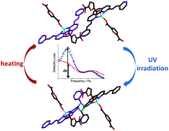 Graphical abstract: Reversible dielectric switching behavior of a 1D coordination polymer induced by photo and thermal irradiation