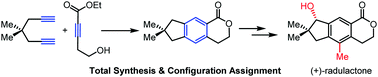Graphical abstract: Divergent total syntheses of five illudalane sesquiterpenes and assignment of the absolute configuration