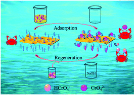 Graphical abstract: Design of a preorganized adsorbent for the removal of chromate from wastewater under neutral conditions